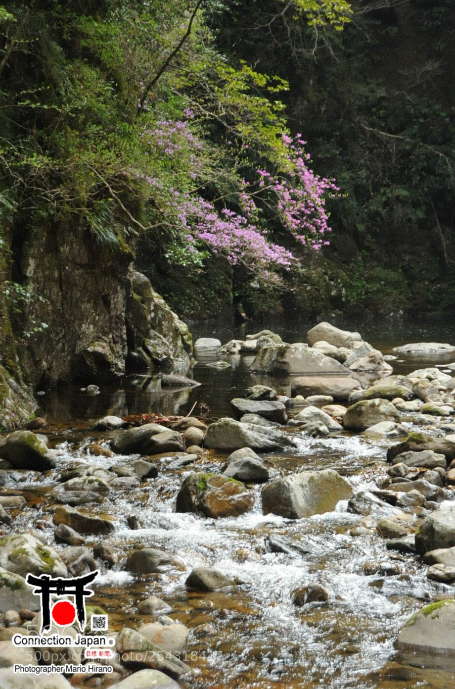 Nikon D700 sample photo. Excurs o japan tour photography