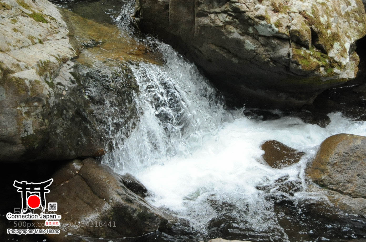 Nikon D700 sample photo. Excurs o japan tour photography