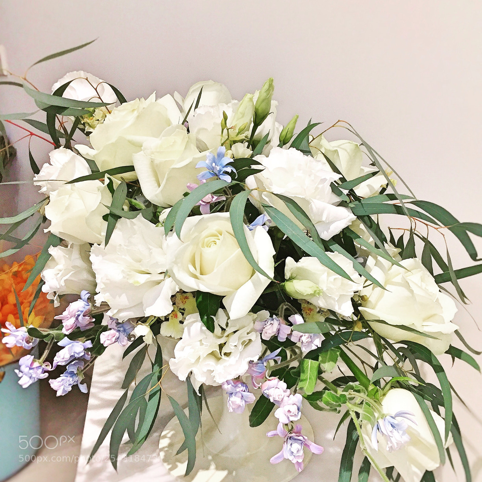Apple iPhone 6 sample photo. 　flower photography