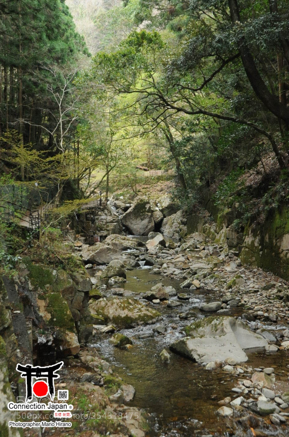 Nikon D700 sample photo. Excurs o japan tour photography