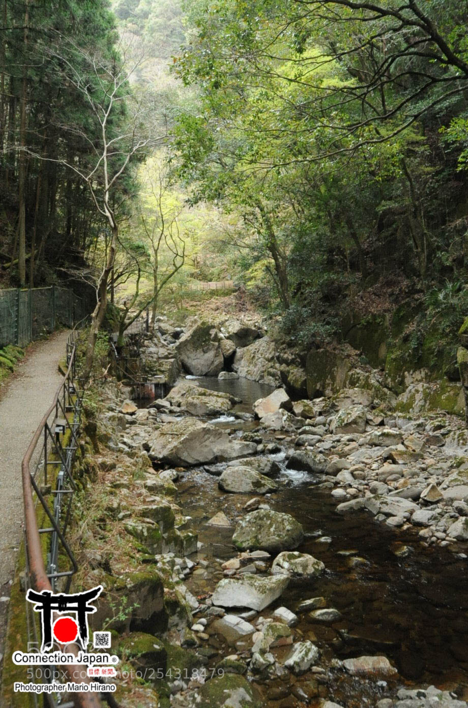Nikon D700 sample photo. Excurs o japan tour photography