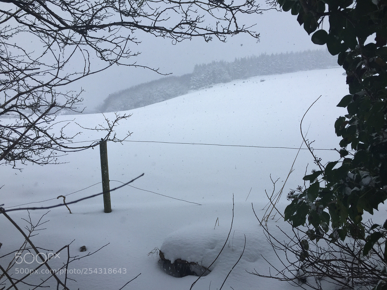 Apple iPhone 6 sample photo. Img photography