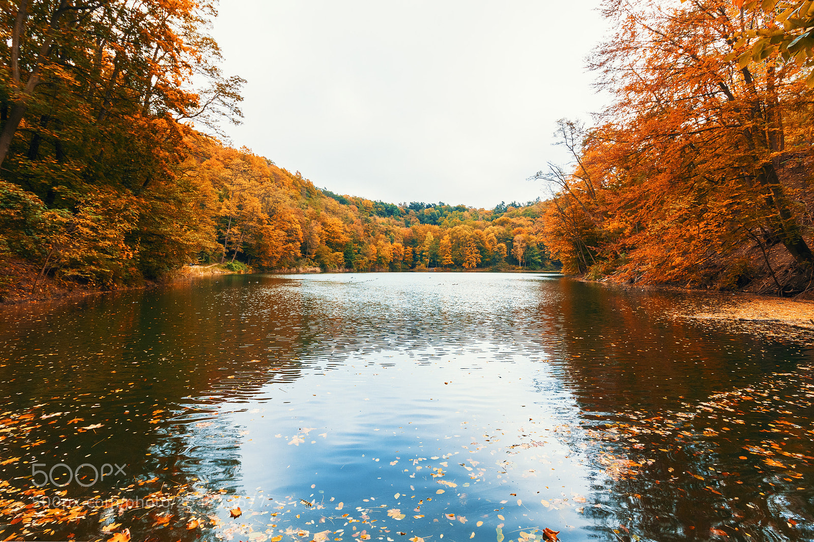 Canon EOS 550D (EOS Rebel T2i / EOS Kiss X4) sample photo. Four seasons - autumn photography