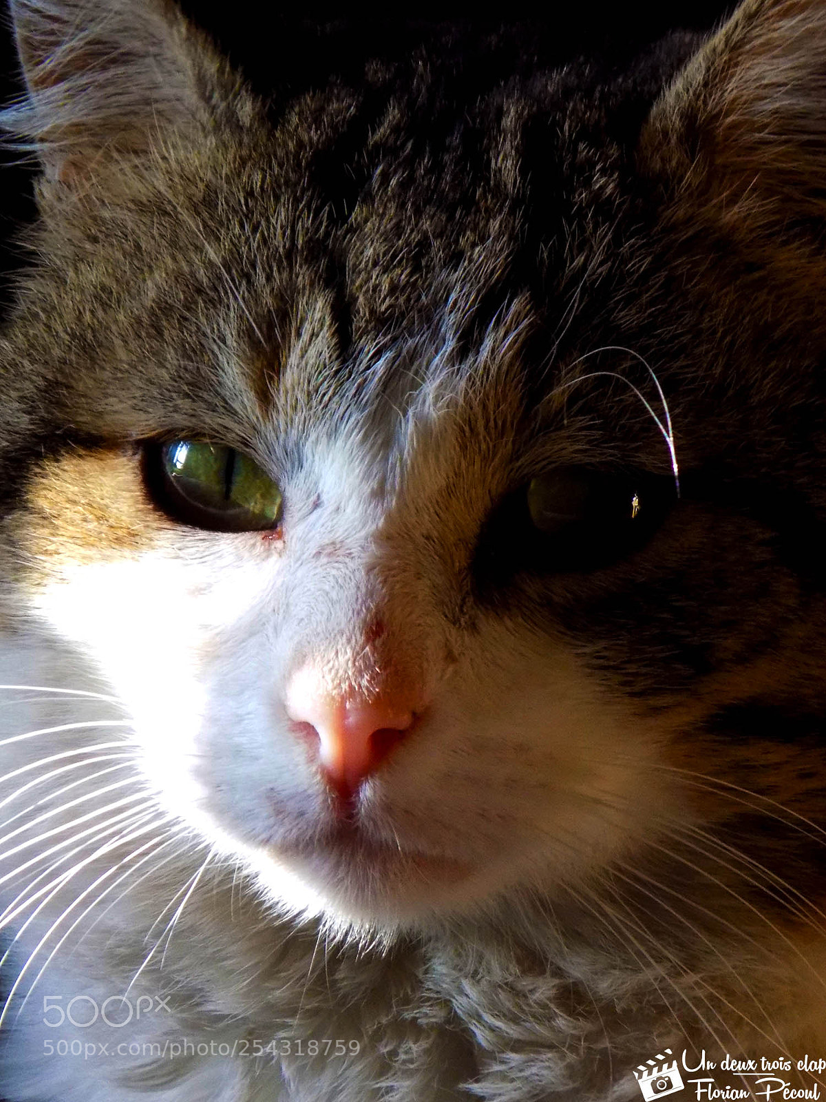 Nikon COOLPIX L330 sample photo. I see you photography