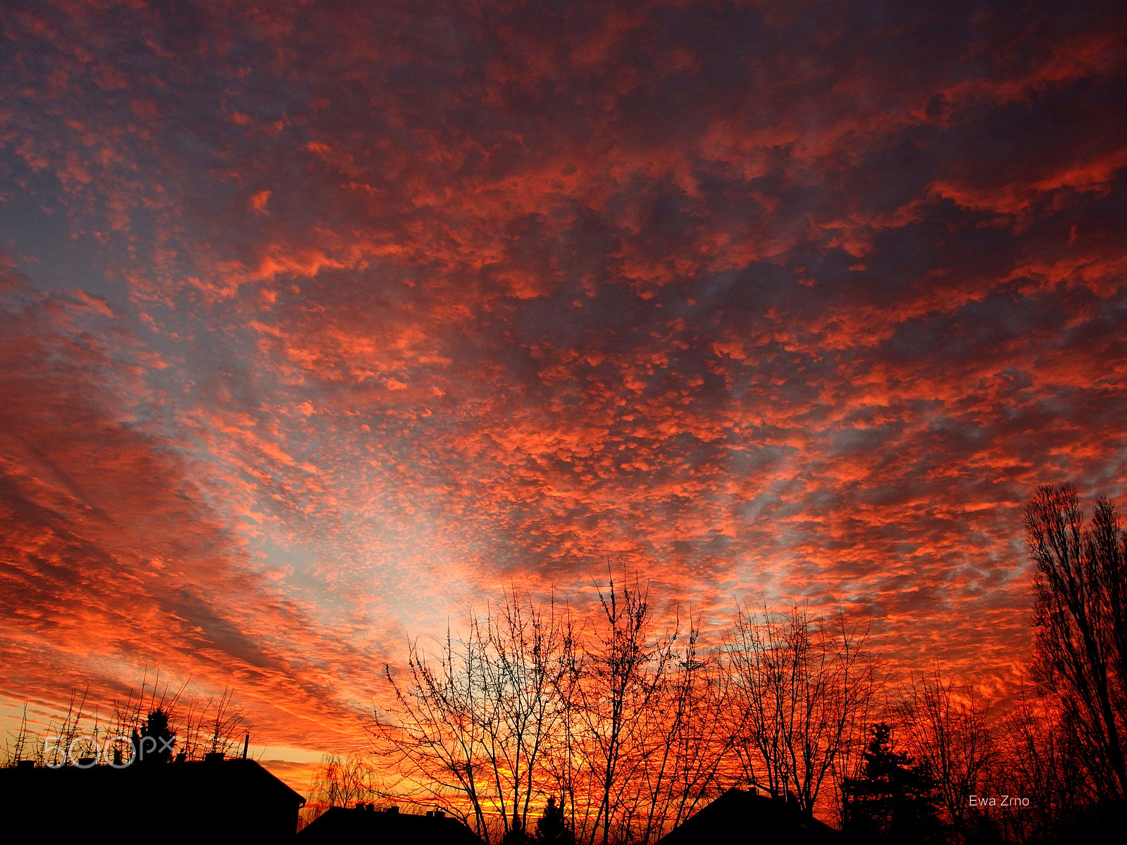 Olympus XZ-2 iHS sample photo. Burning sky. photography