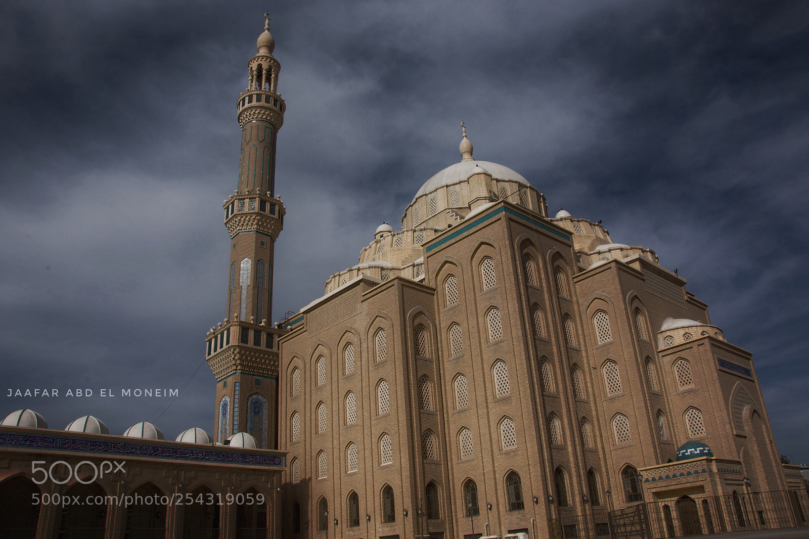 Nikon D7100 sample photo. Untitled photography
