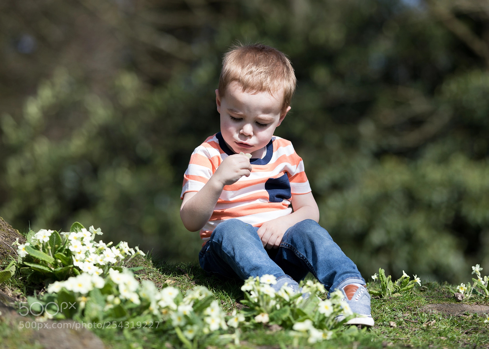 Canon EOS 5D Mark IV sample photo. Picking flowers photography
