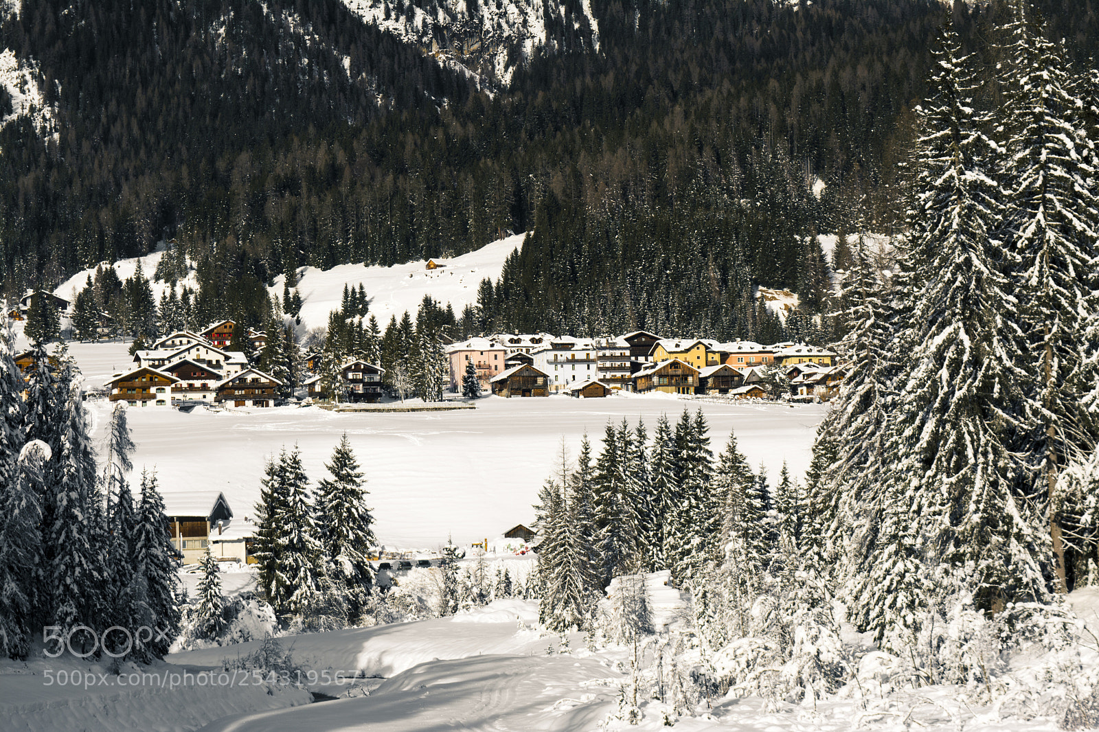 Nikon D5200 sample photo. Winter is coming photography
