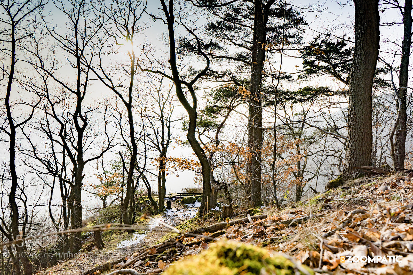 Sony a7 sample photo. Nationalpark eifel photography