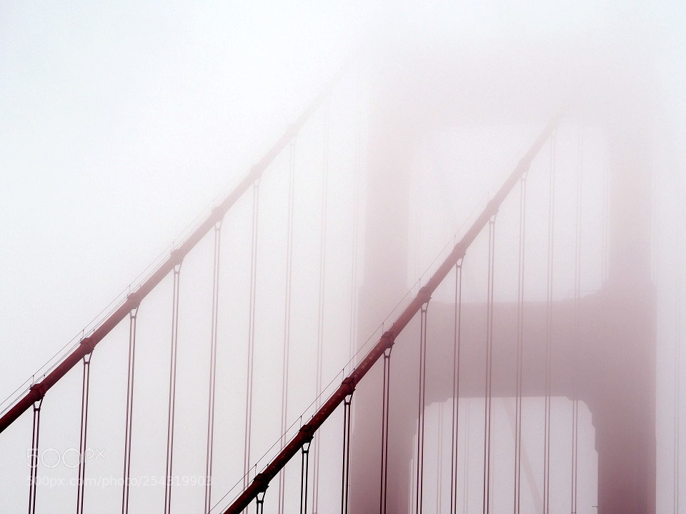 Olympus OM-D E-M5 II sample photo. In the mist photography
