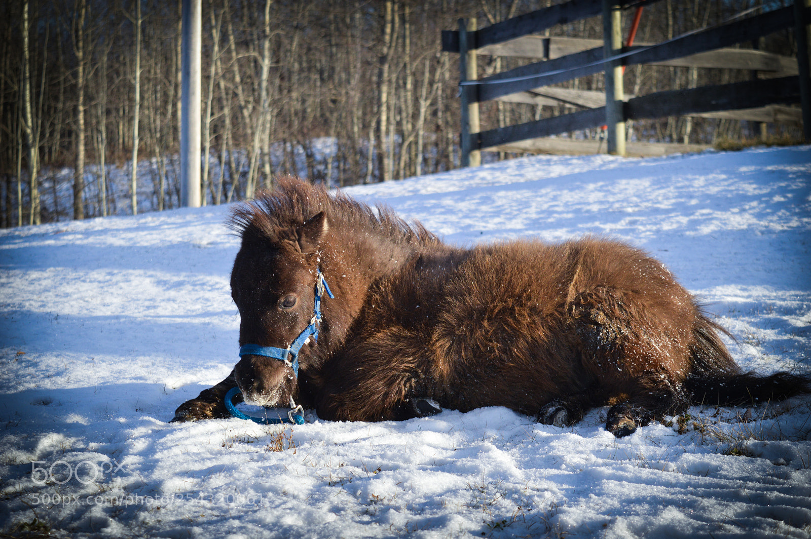 Nikon D3200 sample photo. Little boots photography