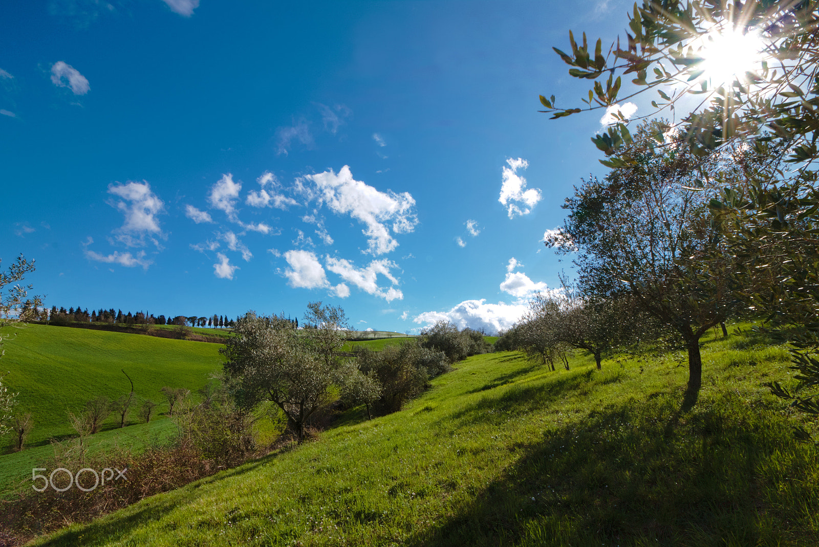 Canon EOS 70D sample photo. Spring sun photography
