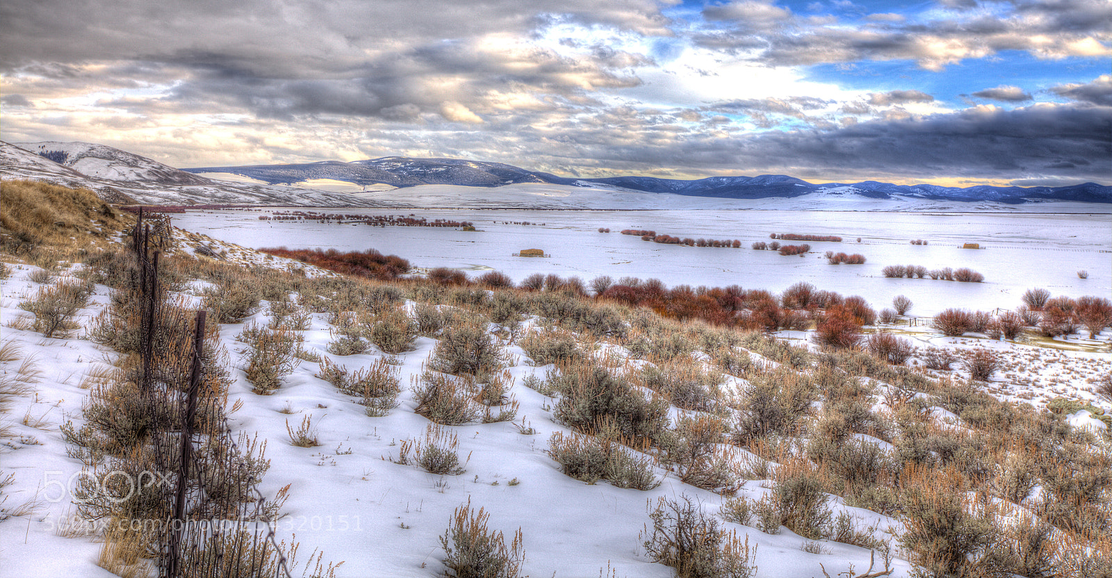 Canon EOS 5D Mark II sample photo. The inescapable cold of photography