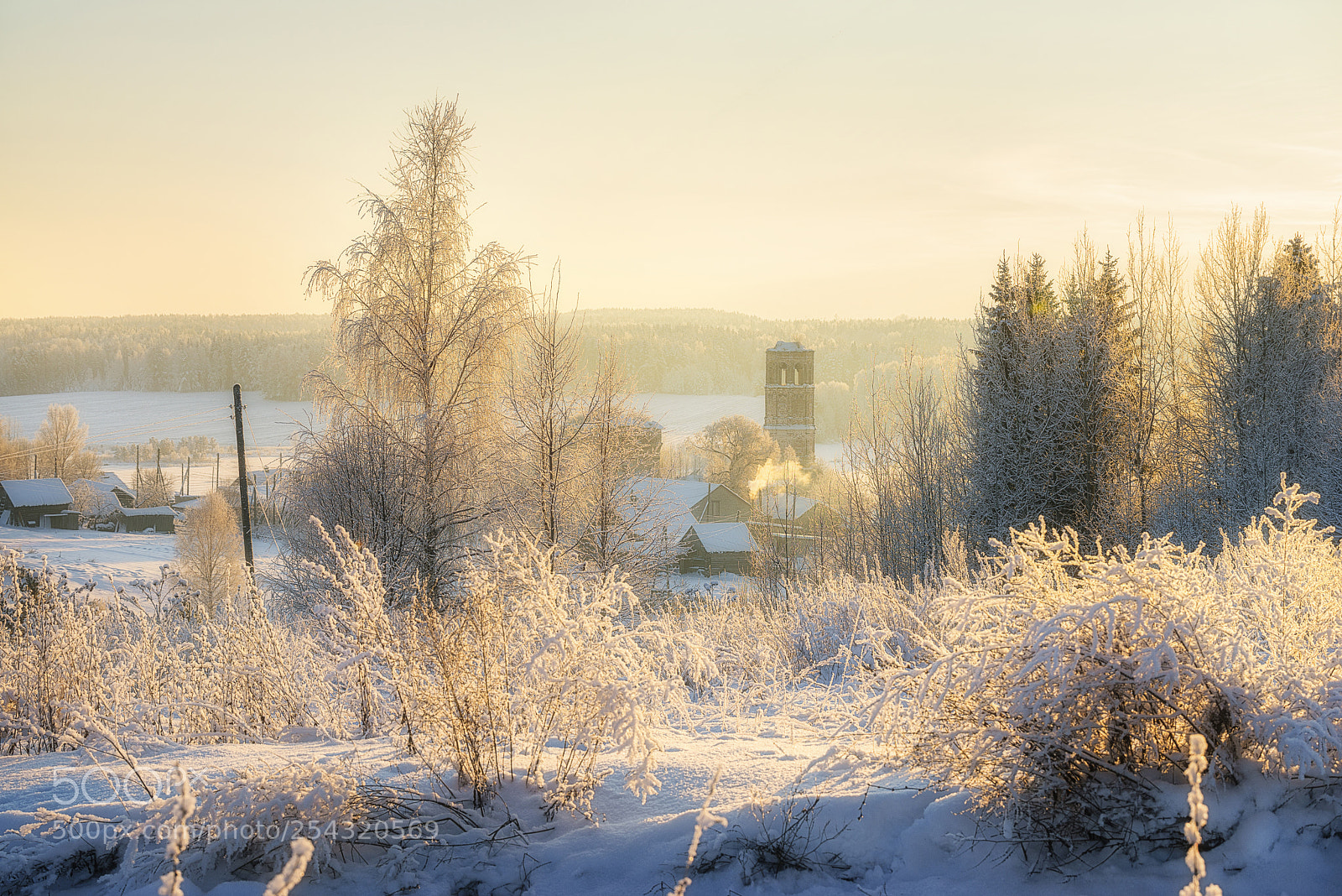 Nikon D610 sample photo. 903. winter in the photography