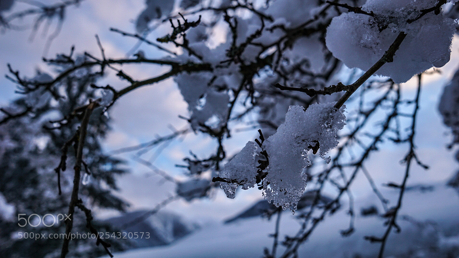 Sony a6000 sample photo. Snowy photography