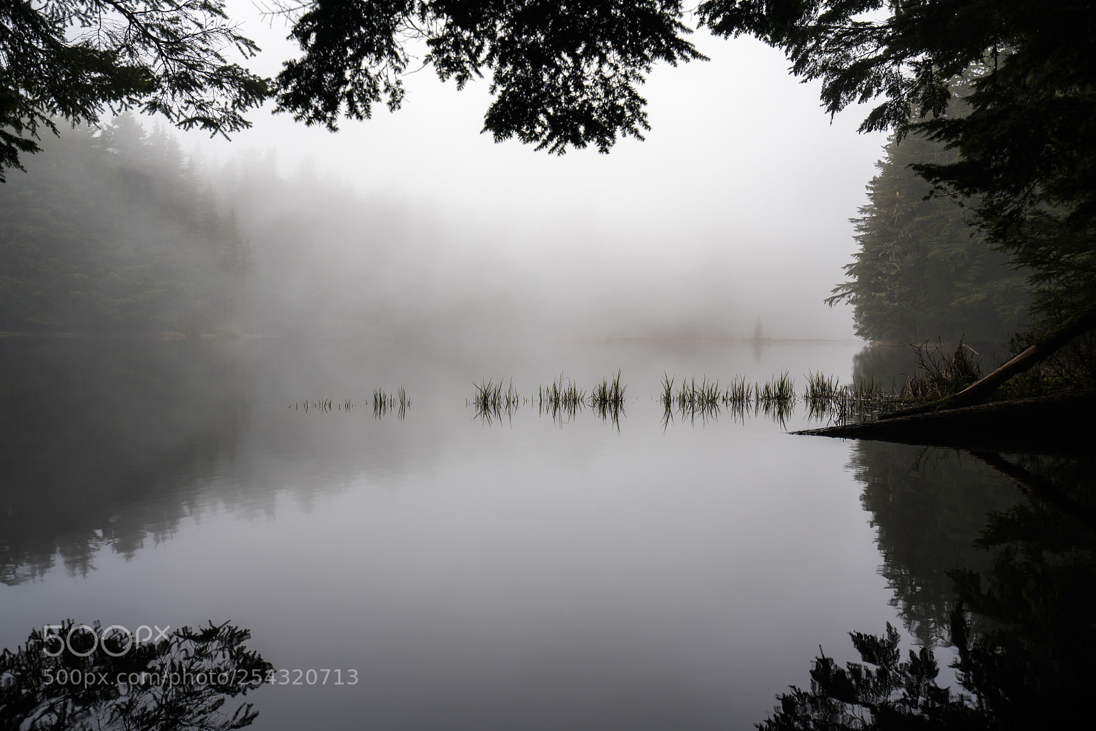 Sony a7R III sample photo. Reflections photography