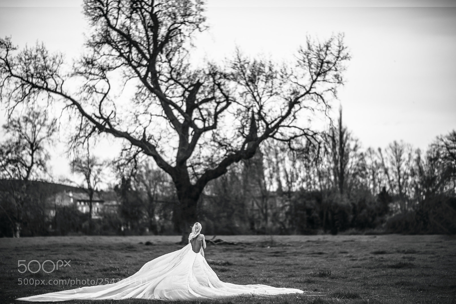 Canon EOS 5D Mark IV sample photo. Camille  and parachute photography
