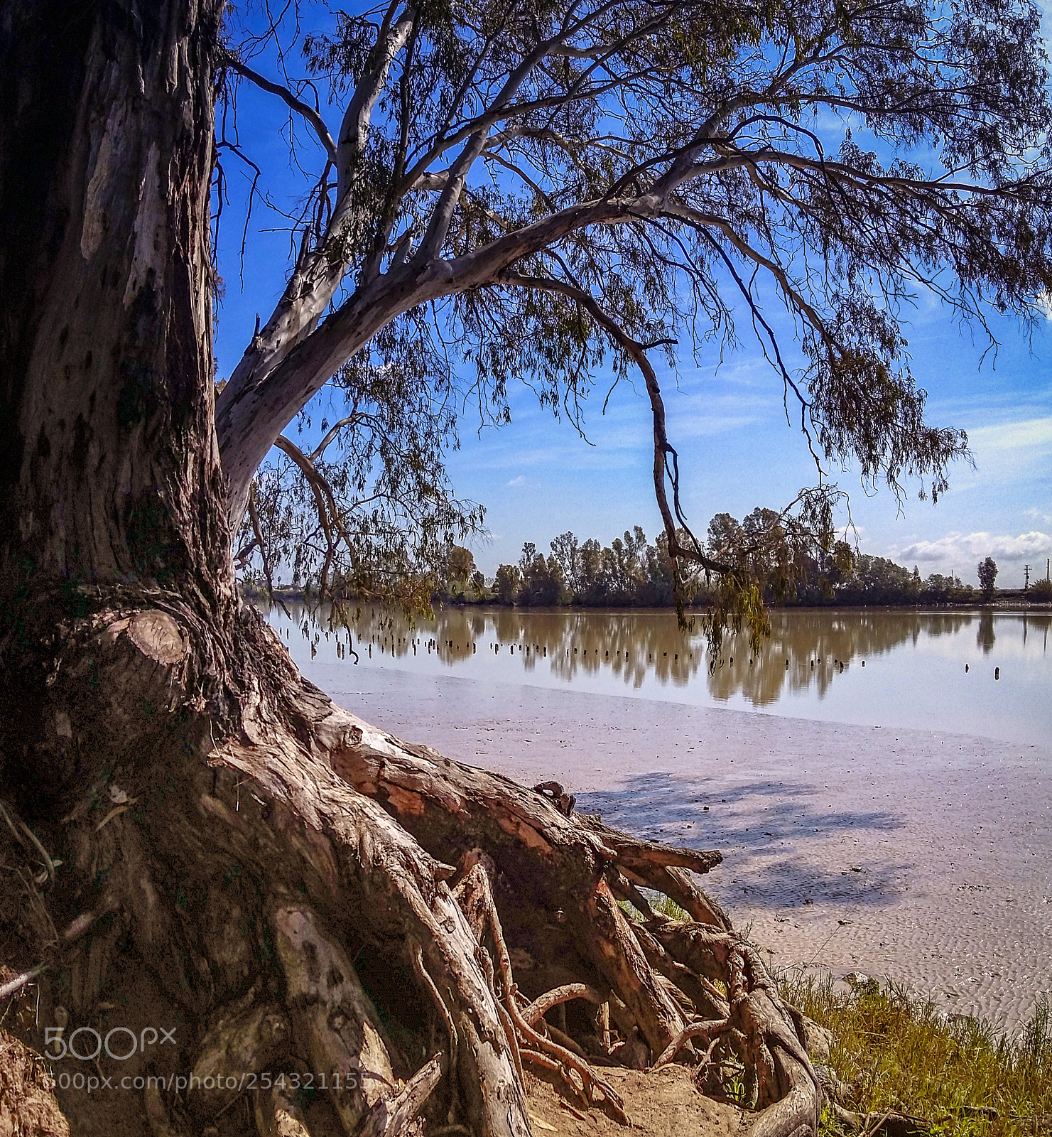 Samsung Galaxy Grand Prime sample photo. Rio guadalquivir photography