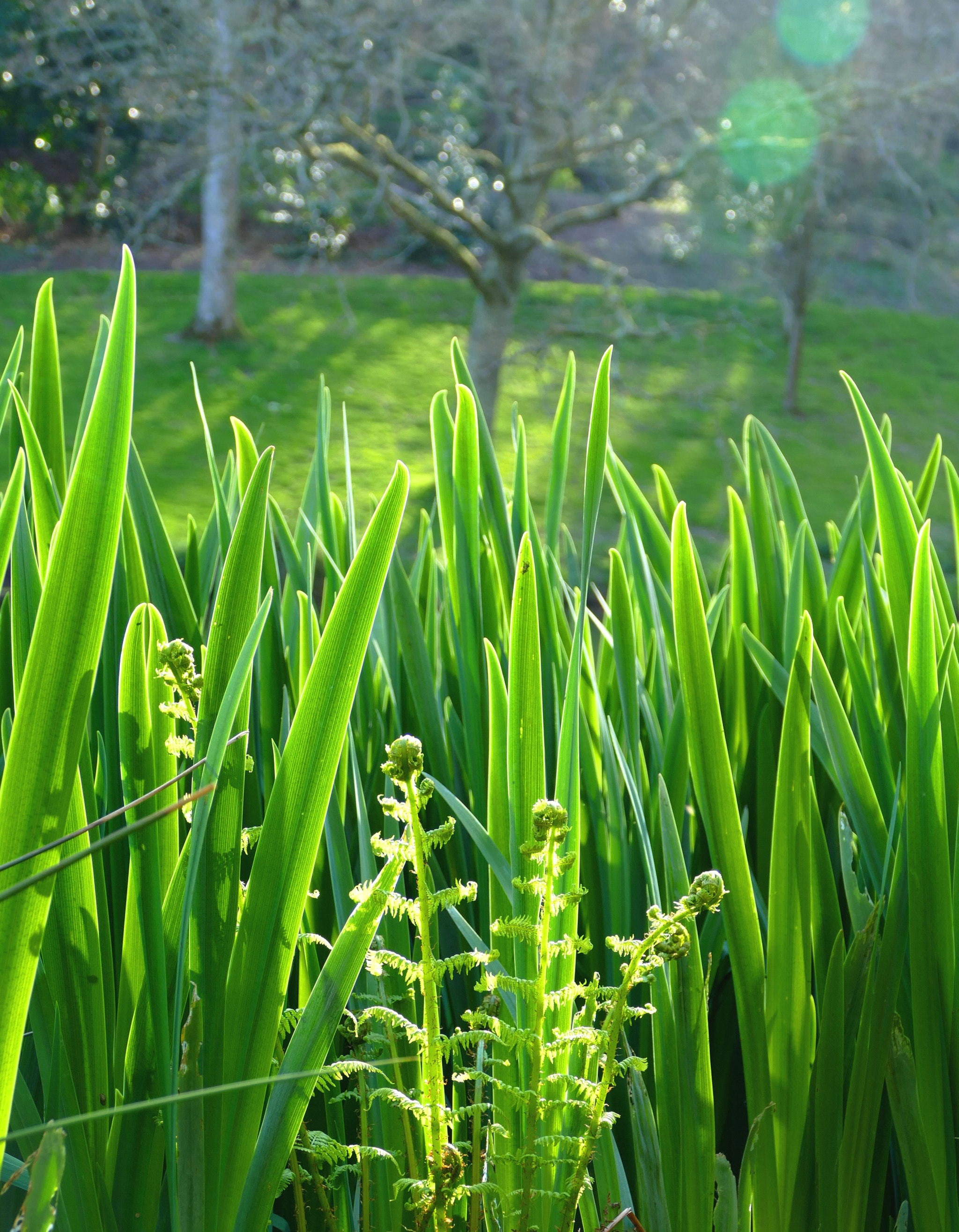 Panasonic PHOTOfunSTUDIO 9.5 PE sample photo