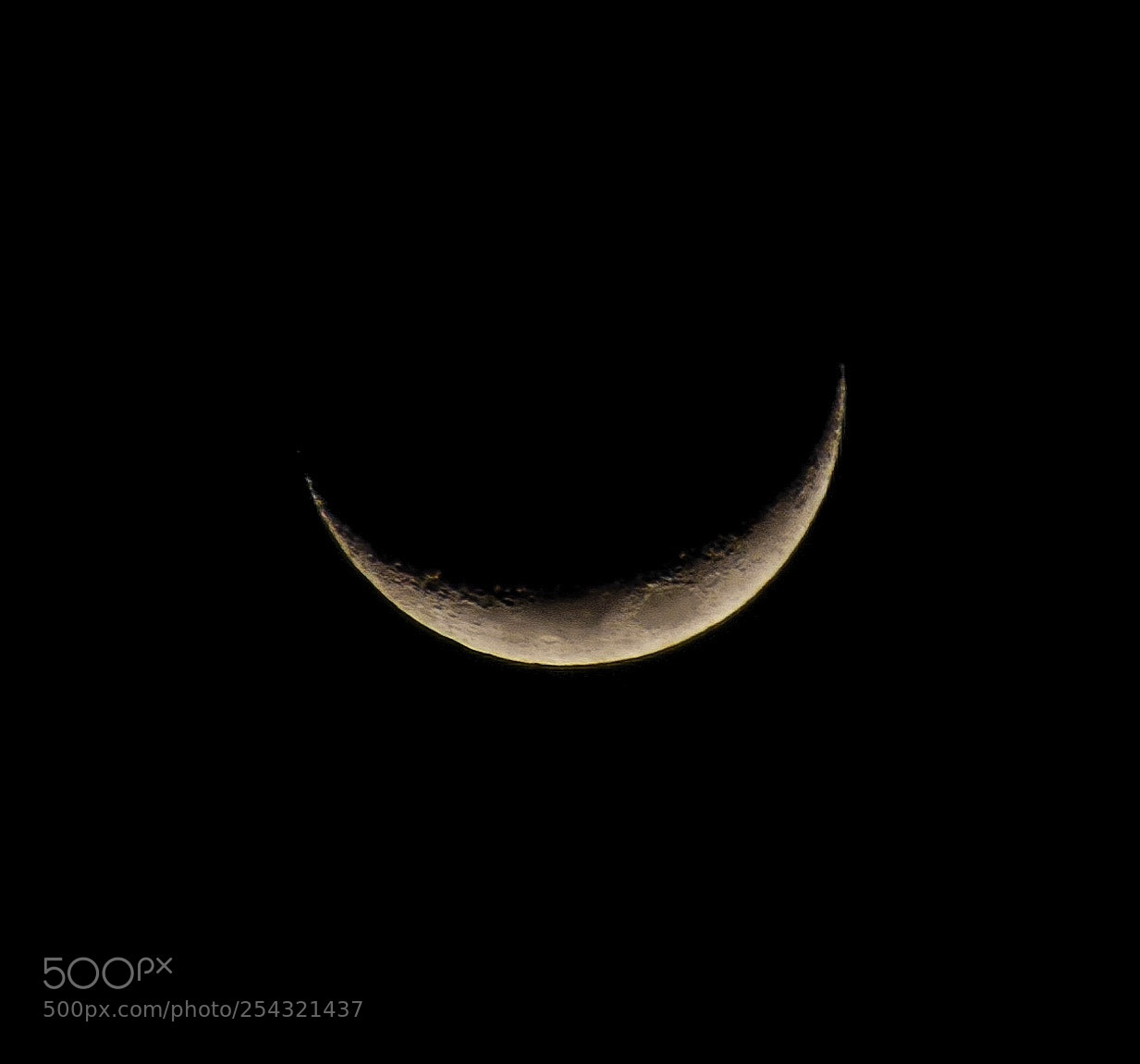 Nikon D5100 sample photo. Smiley photography