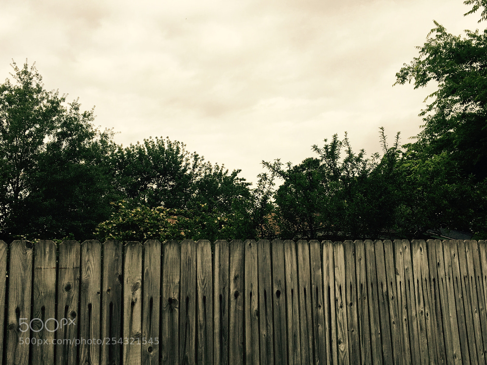 Apple iPhone 6s sample photo. Untitled photography
