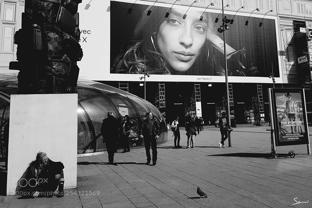 Canon EOS 5D Mark II sample photo. Lost photography