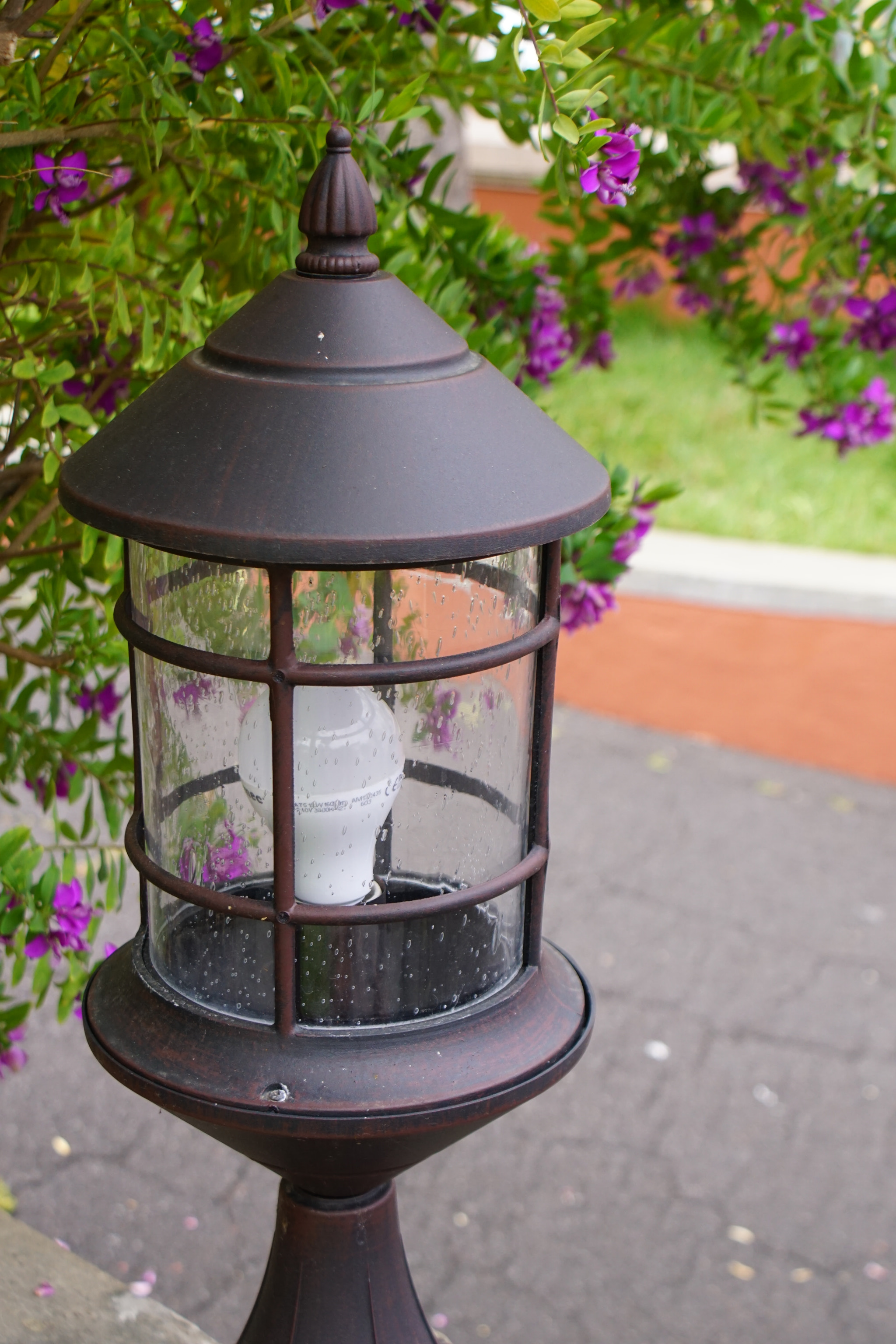 Sony DT 18-70mm F3.5-5.6 sample photo. Summer day photography
