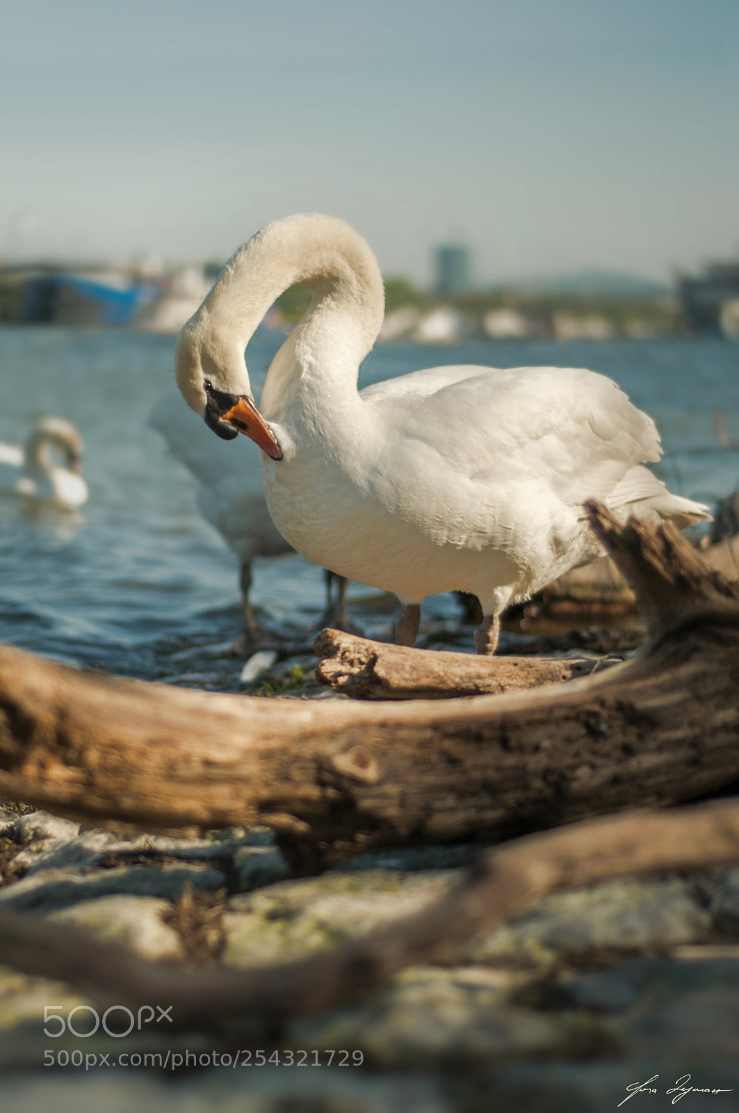 Nikon D300 sample photo. Enchanting photography