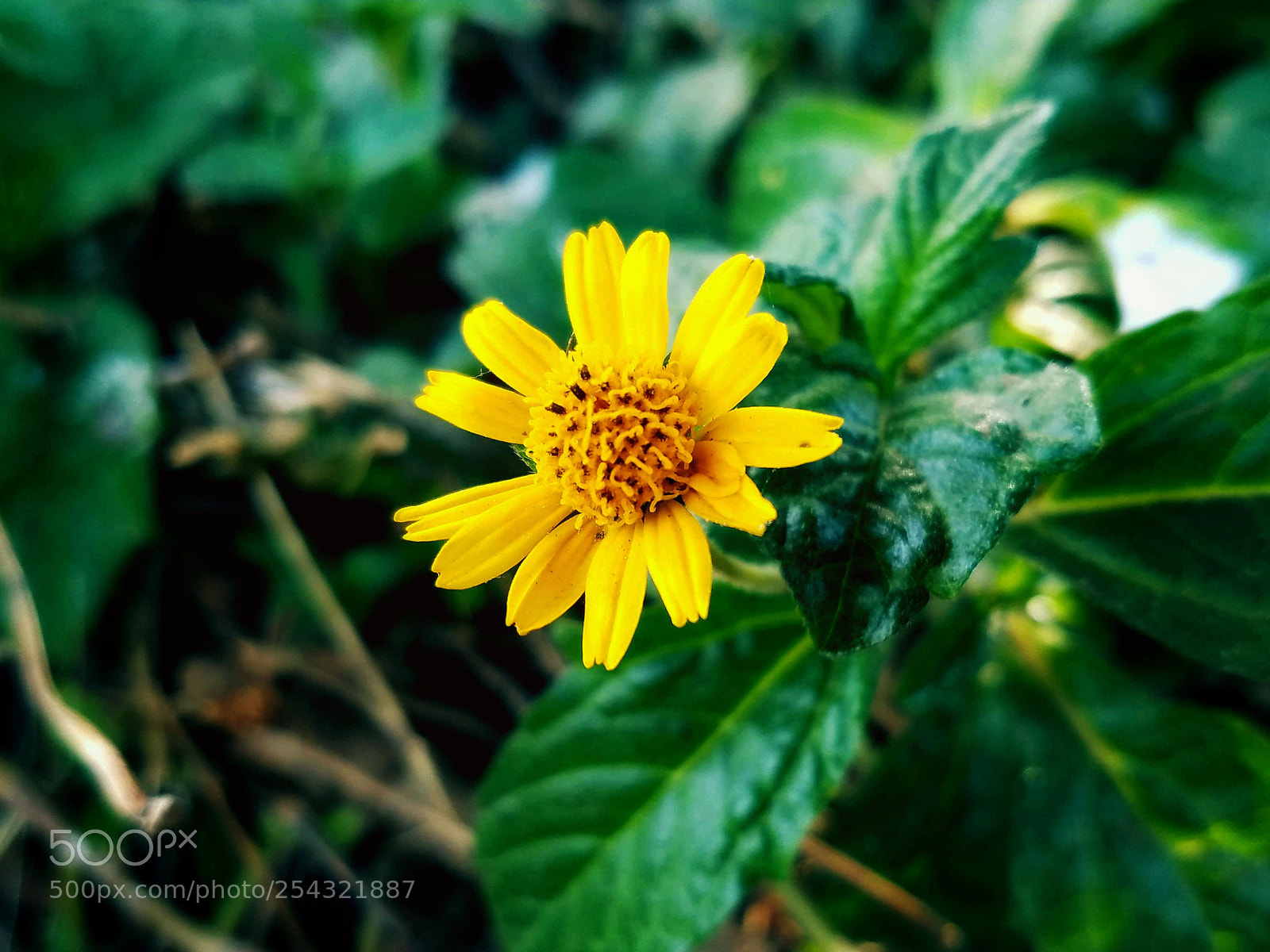 Samsung Galaxy S7 sample photo. Untitled photography