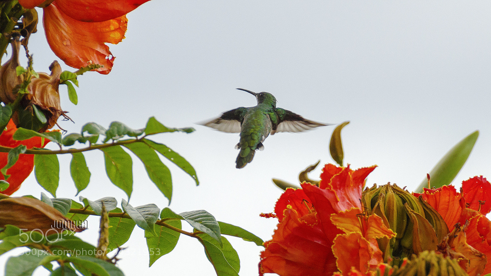 Pentax K-1 sample photo. Decisiones photography