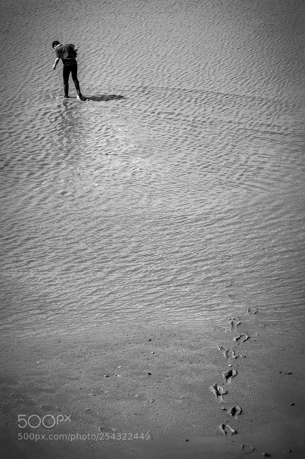 Canon EOS-1D X Mark II sample photo. Walking away photography