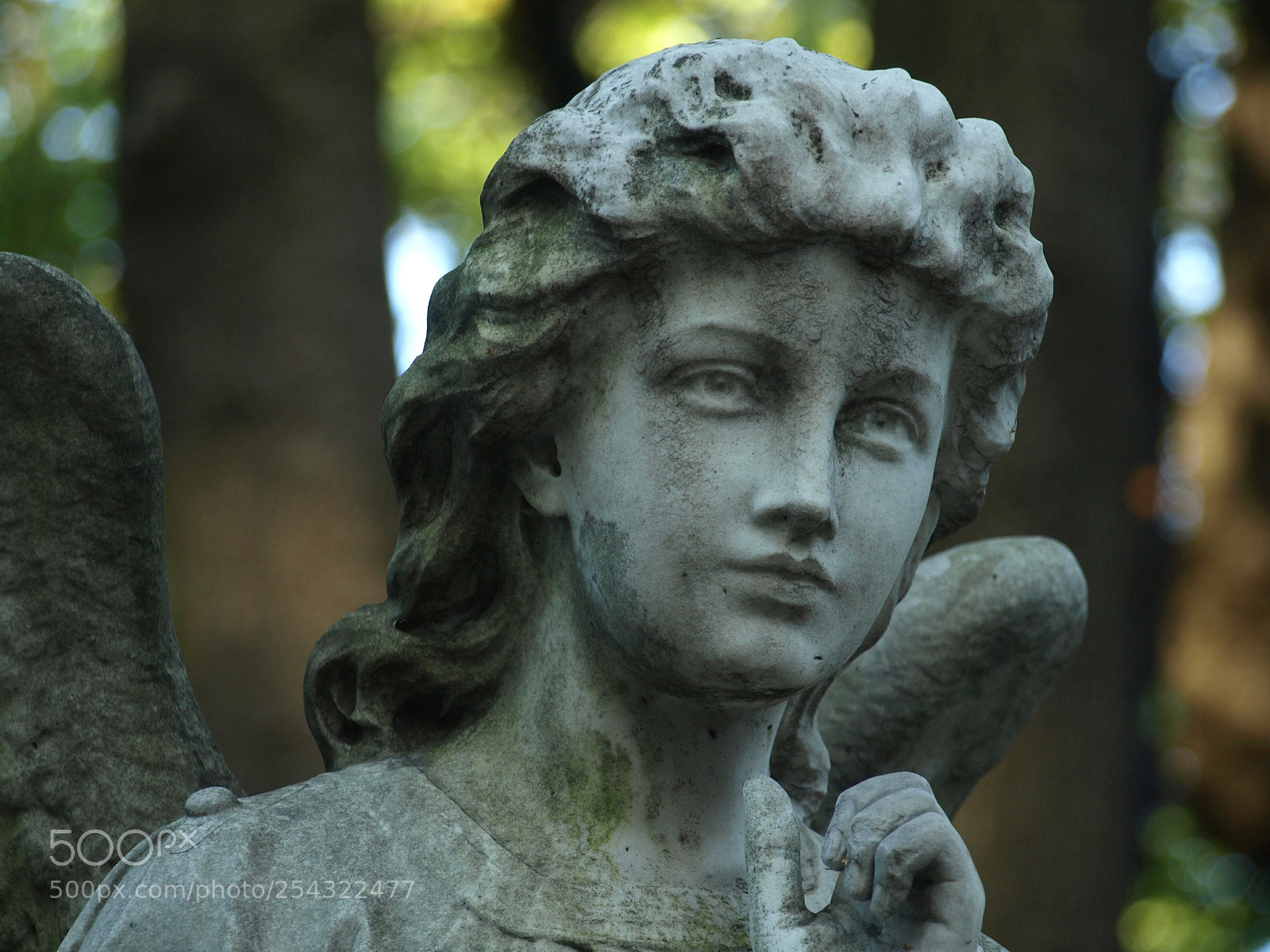 Olympus E-510 (EVOLT E-510) sample photo. Angel photography