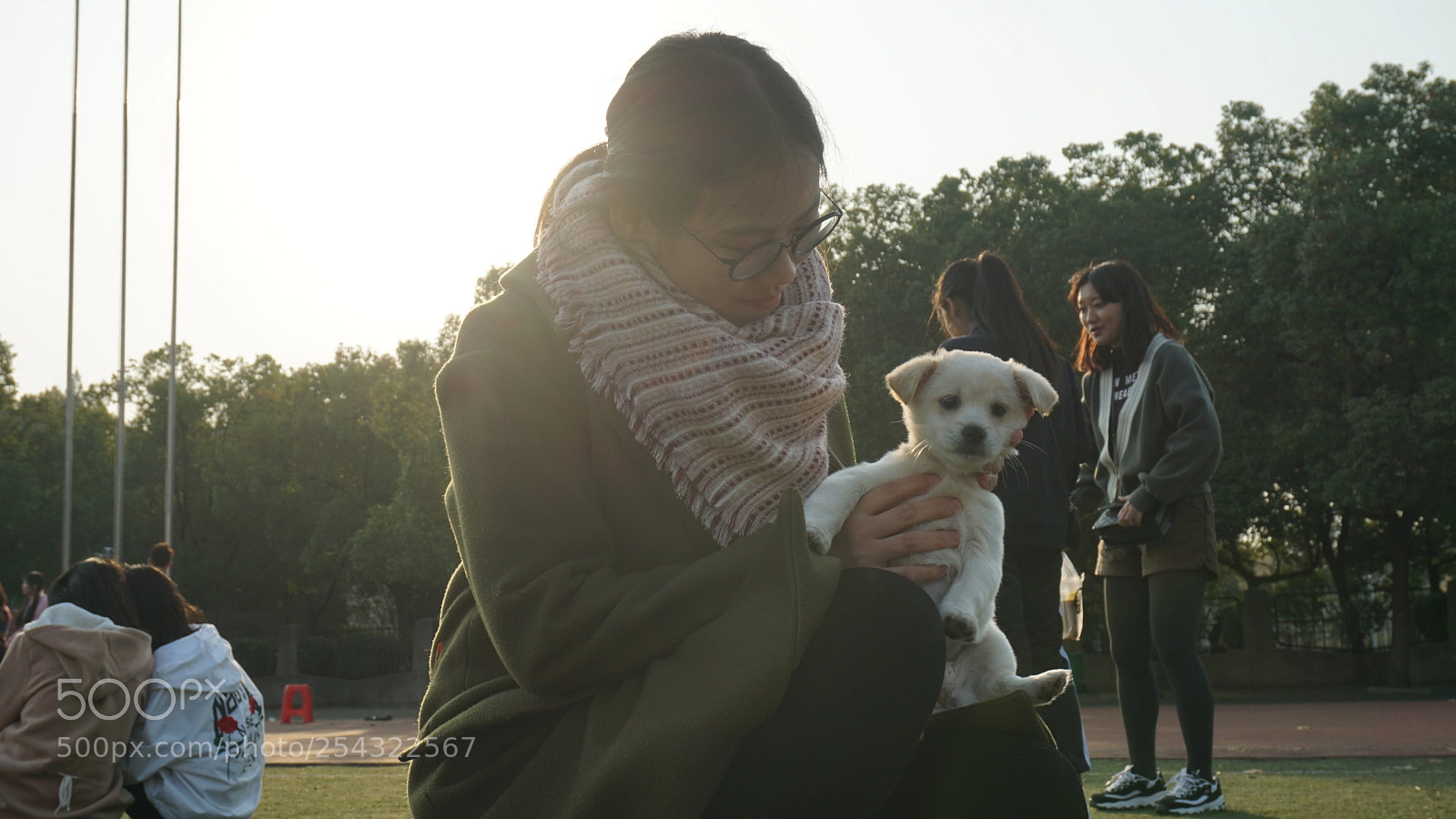 Sony E 16-50mm F3.5-5.6 PZ OSS sample photo. Untitled photography
