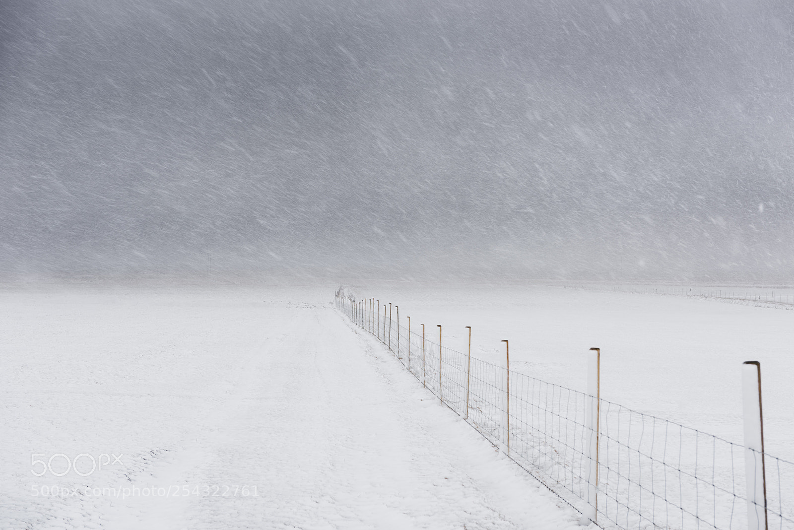 Nikon D810 sample photo. Winter storm in iceland photography