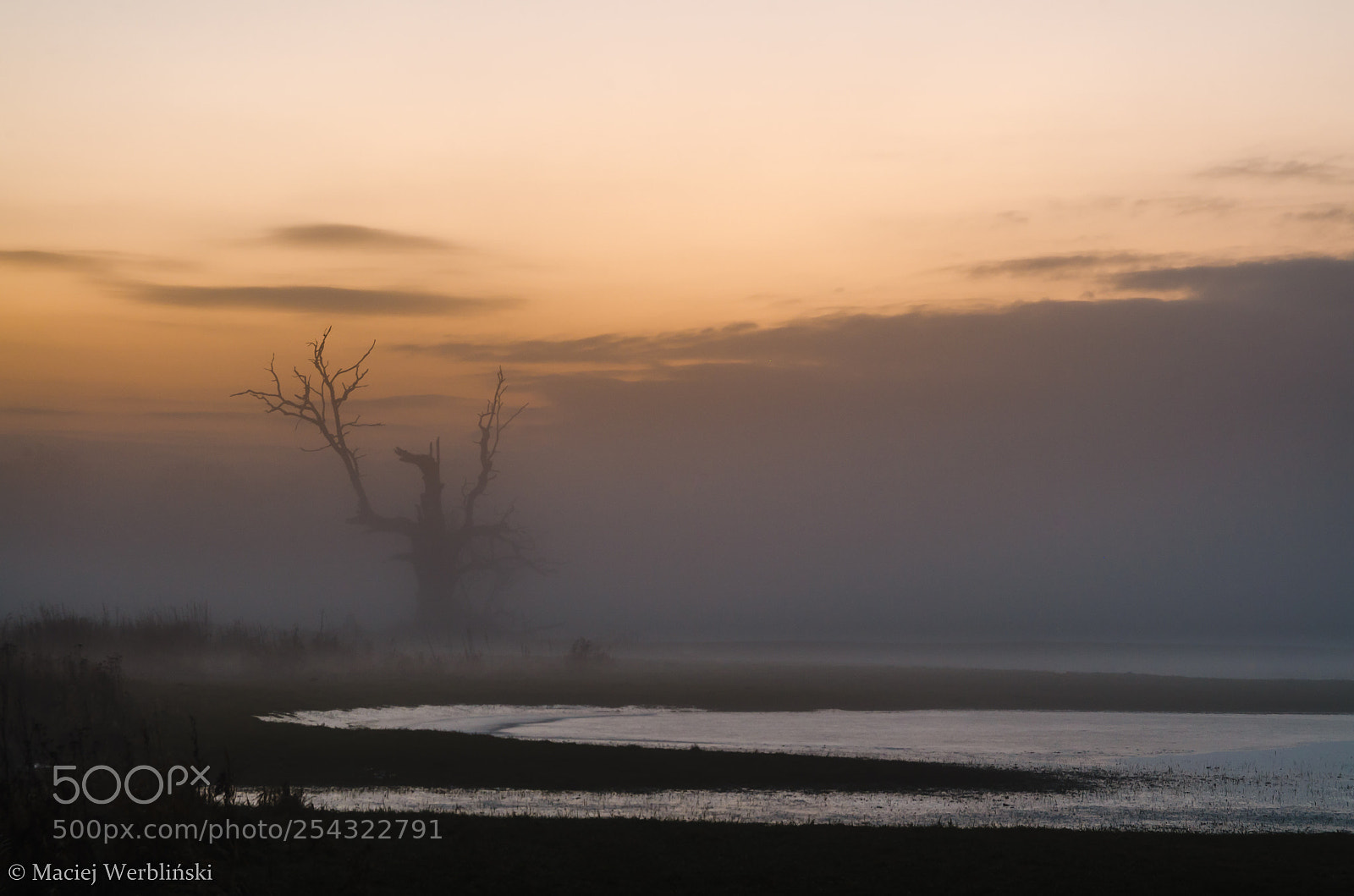 Pentax K-50 sample photo. Evening fog photography