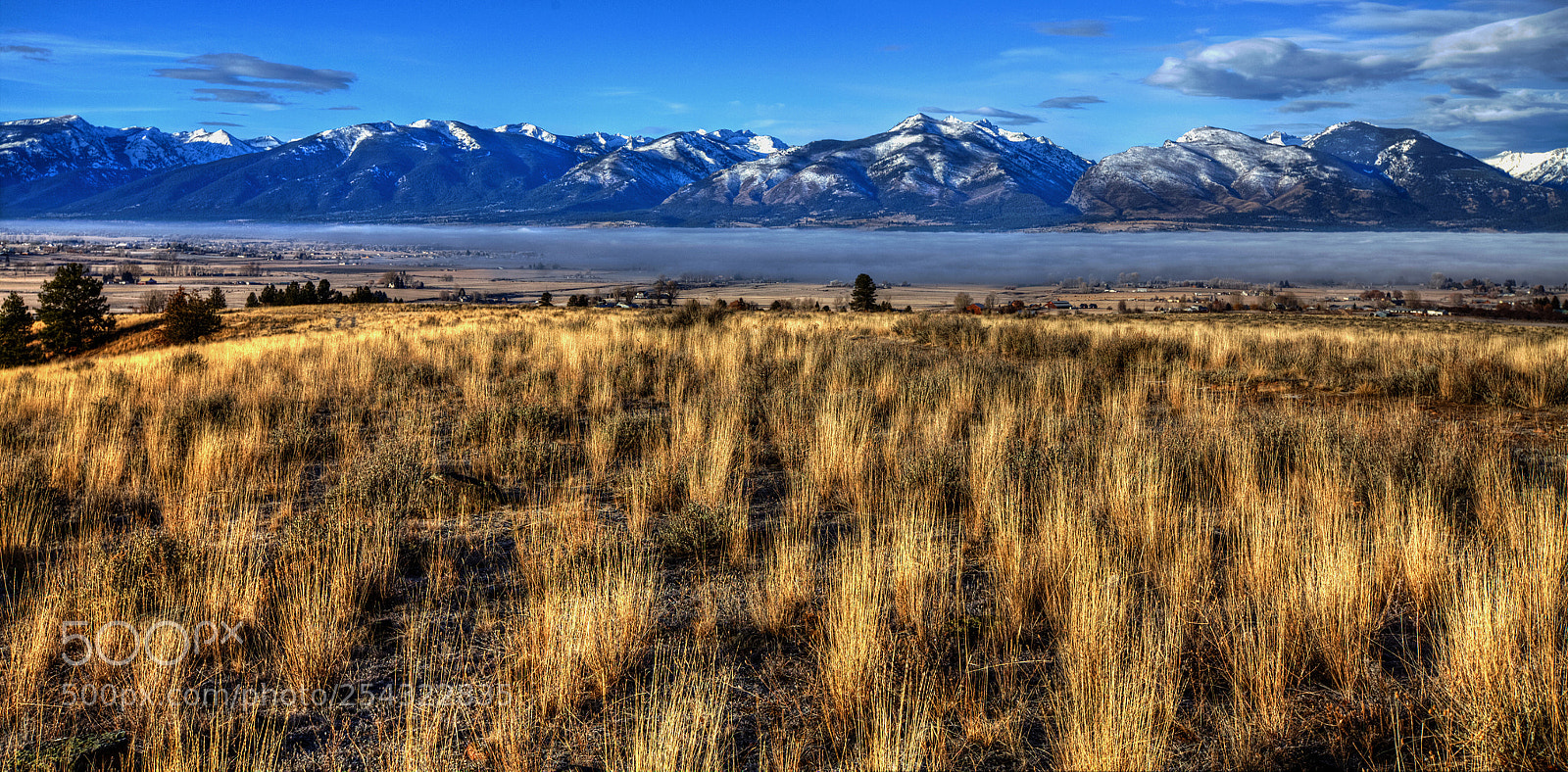 Canon EOS 5D Mark II sample photo. Freezing fog, bitterroot valley photography