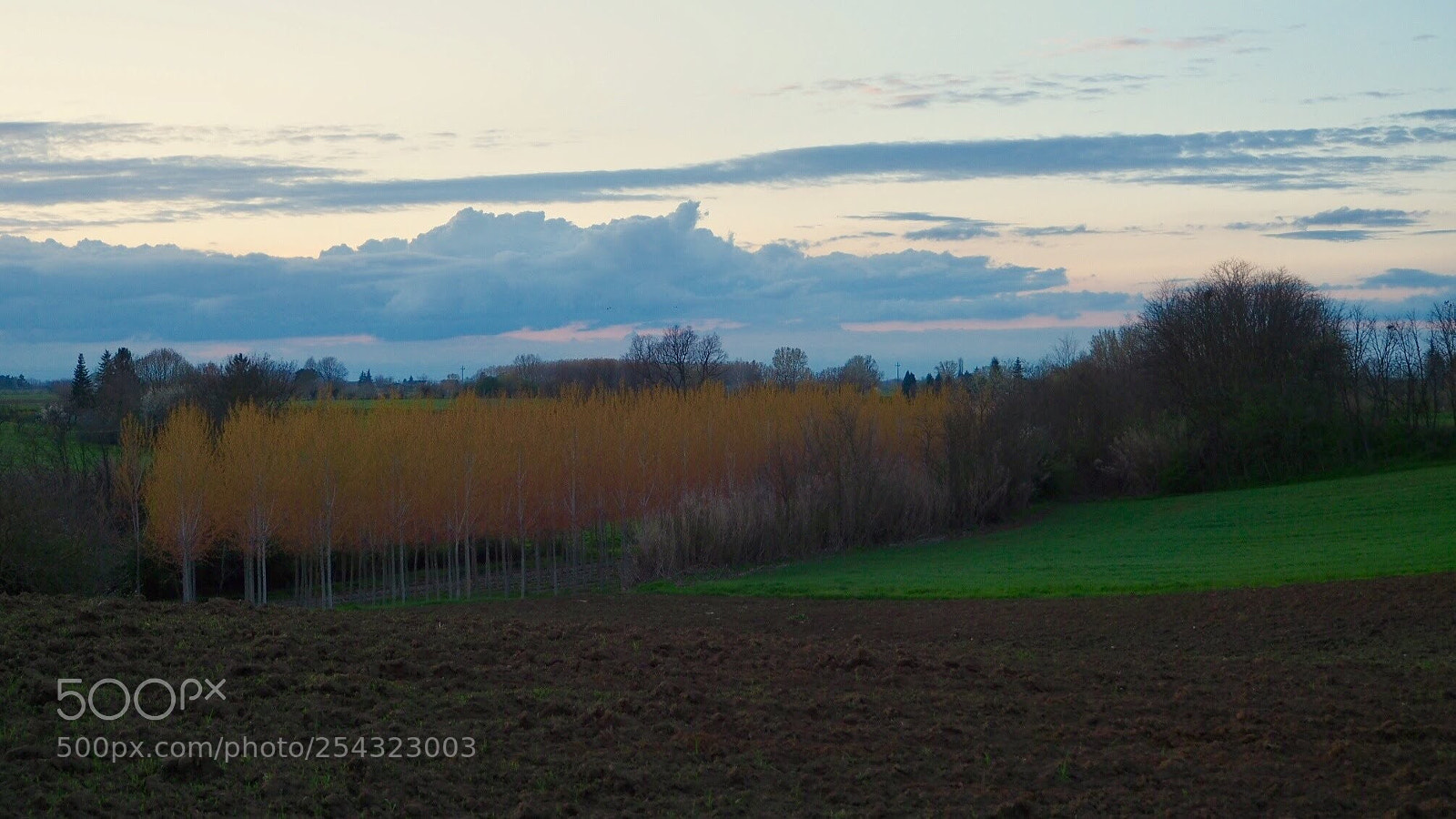 Olympus OM-D E-M5 II sample photo. Sunset mixing the colors... photography
