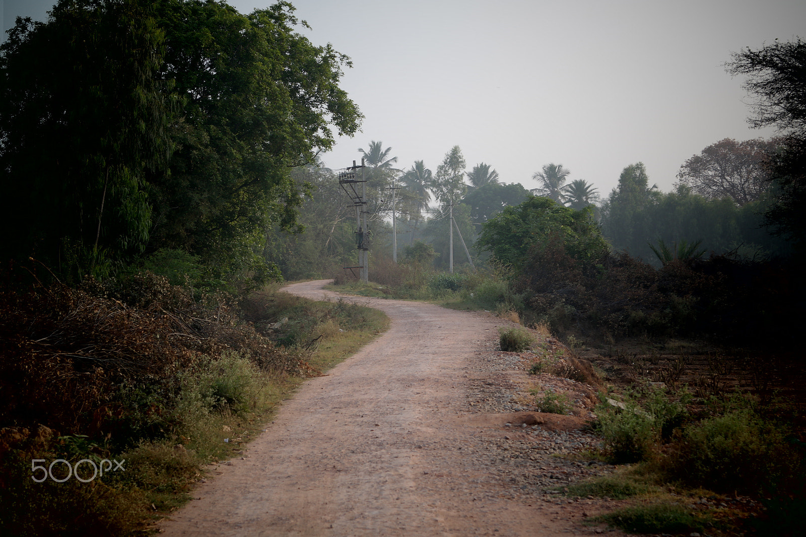 Samsung NX2000 sample photo. Morning ride photography