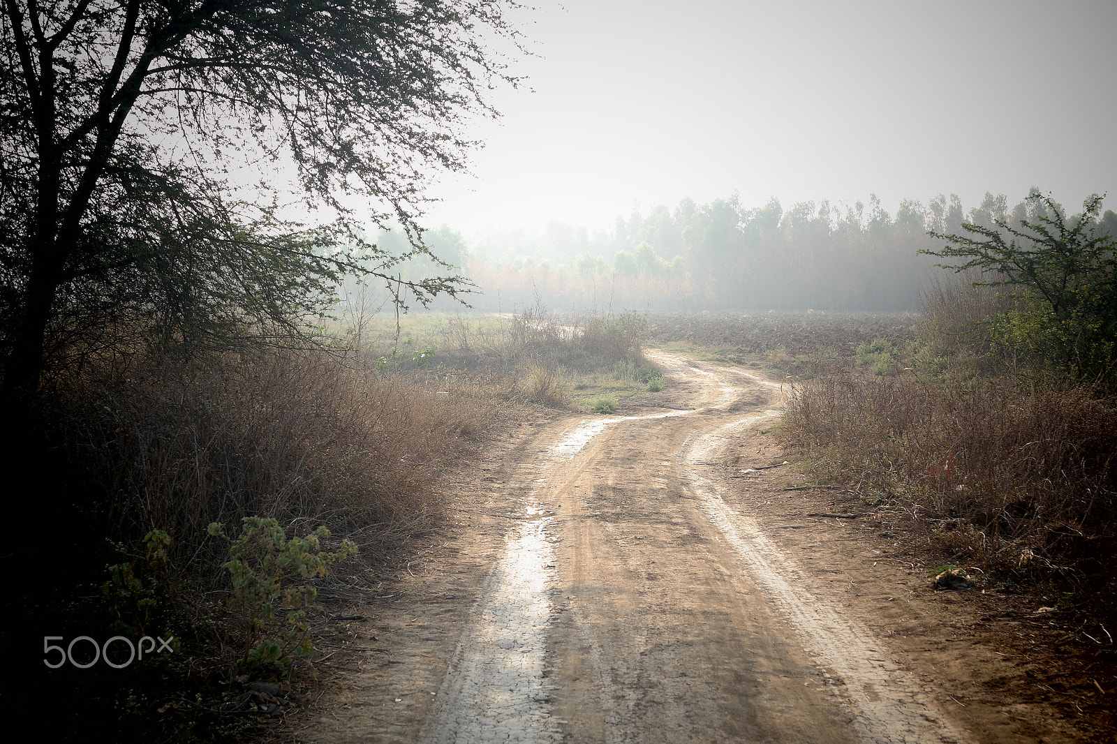 Samsung NX2000 sample photo. Morning ride photography