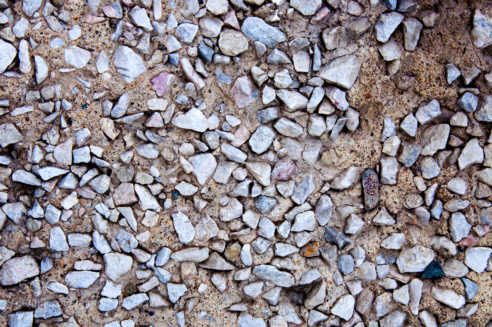 Nikon D90 sample photo. Textured background photography