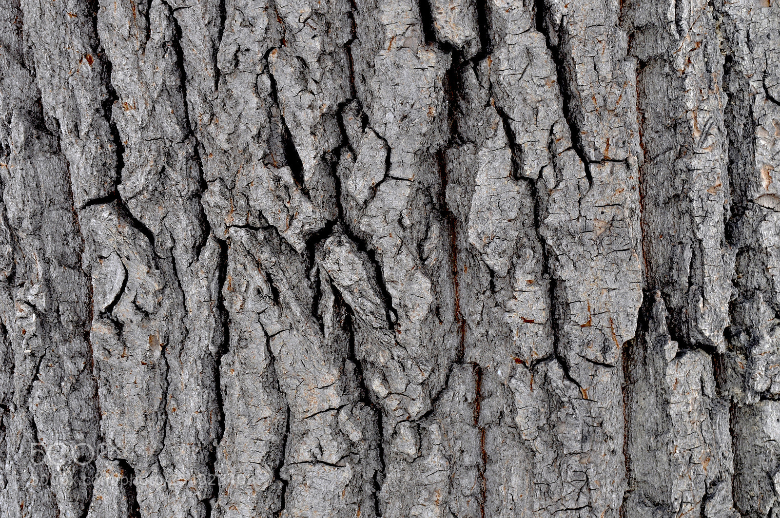 Nikon D90 sample photo. Textured background photography