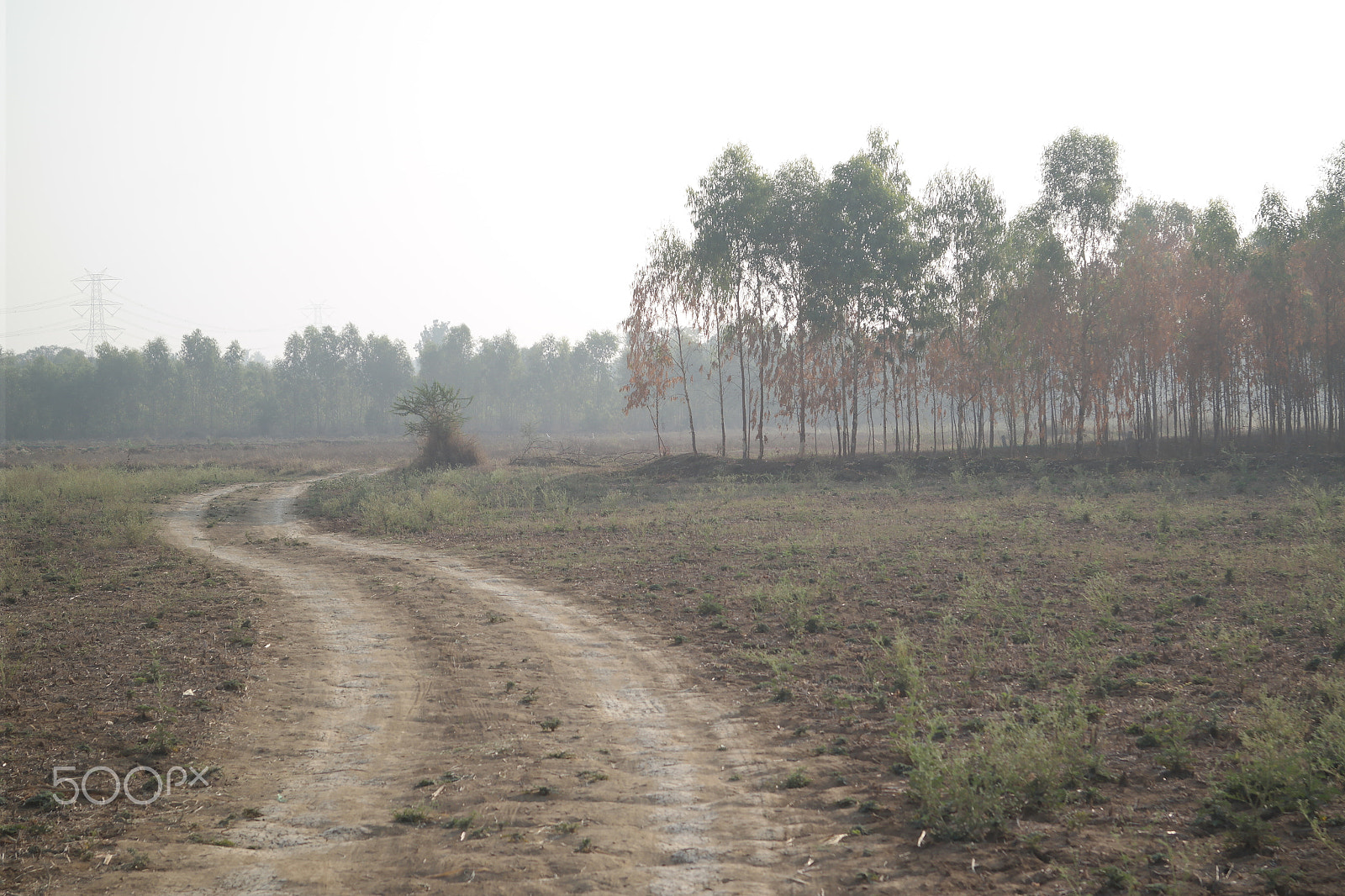 Samsung NX2000 sample photo. Morning ride photography