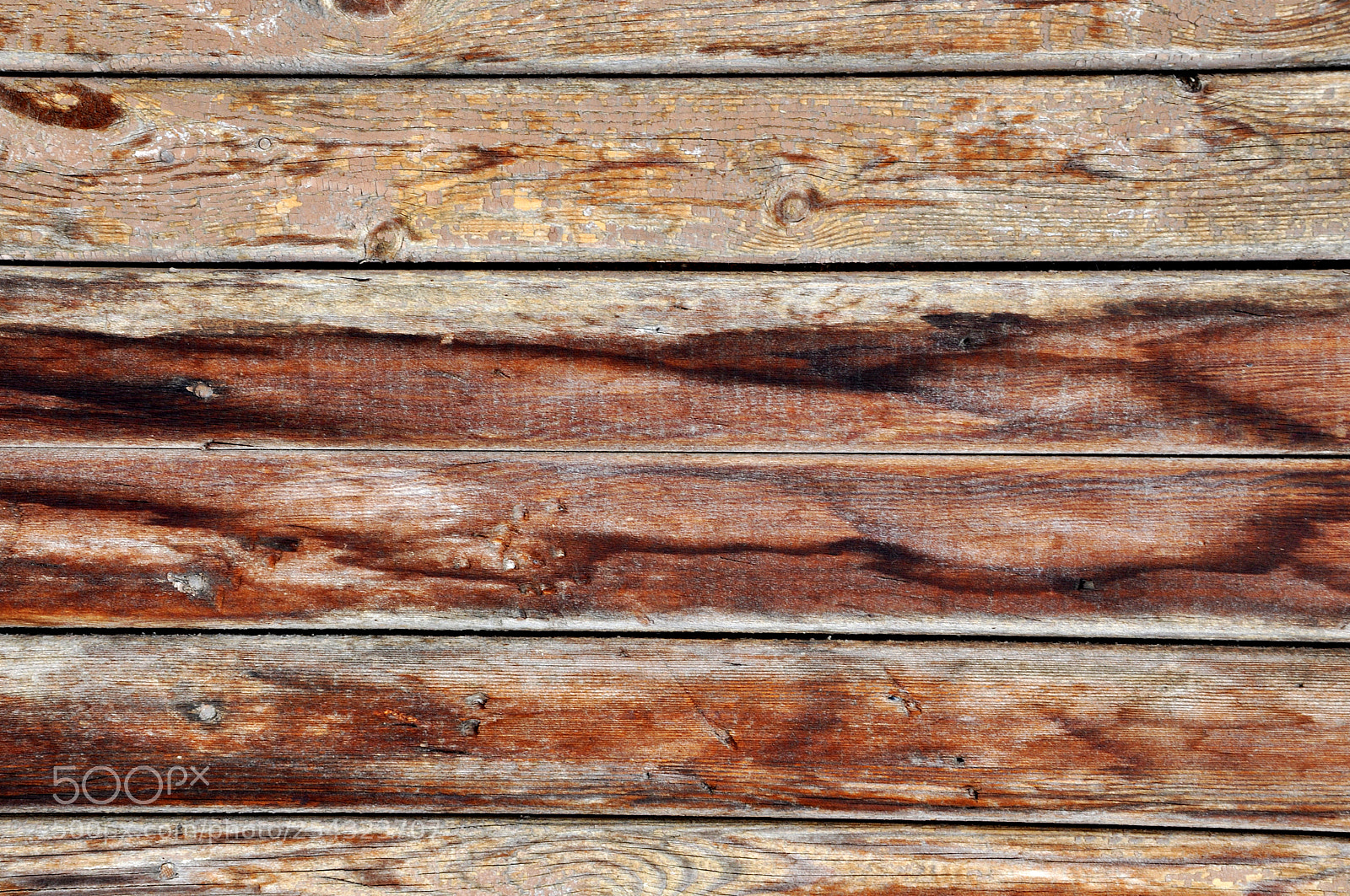 Nikon D90 sample photo. Textured background photography