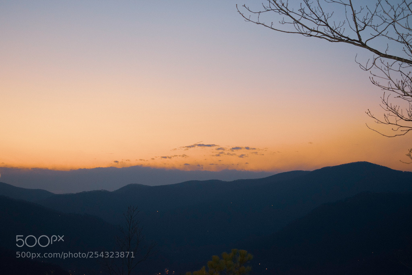 Nikon D5500 sample photo. Untitled photography