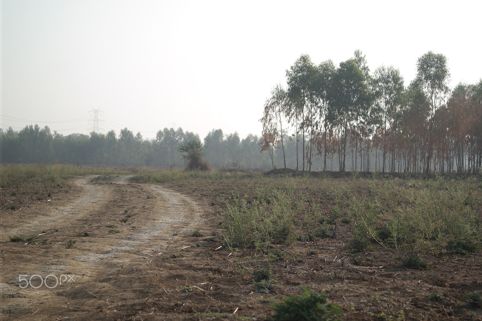 Samsung NX2000 sample photo. Morning ride photography