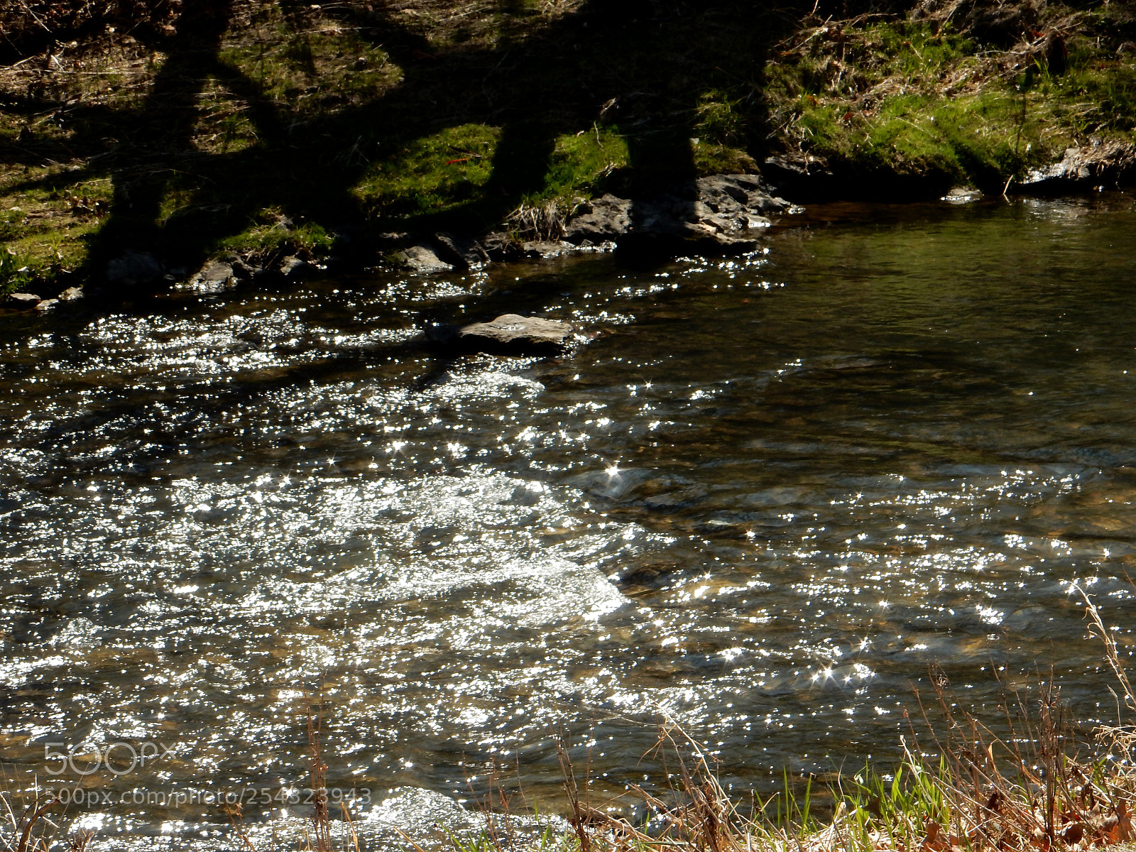 Nikon Coolpix S9900 sample photo. Sun sparkles on creek photography