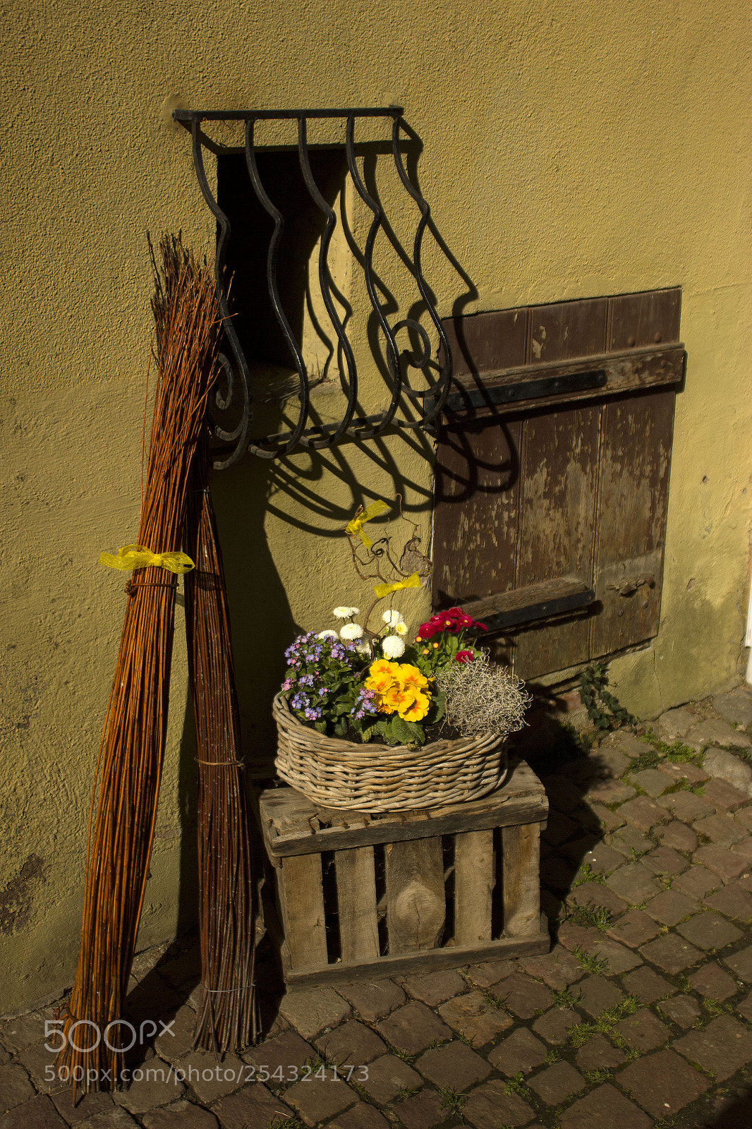 Canon EOS 550D (EOS Rebel T2i / EOS Kiss X4) sample photo. Alsace ii - france photography