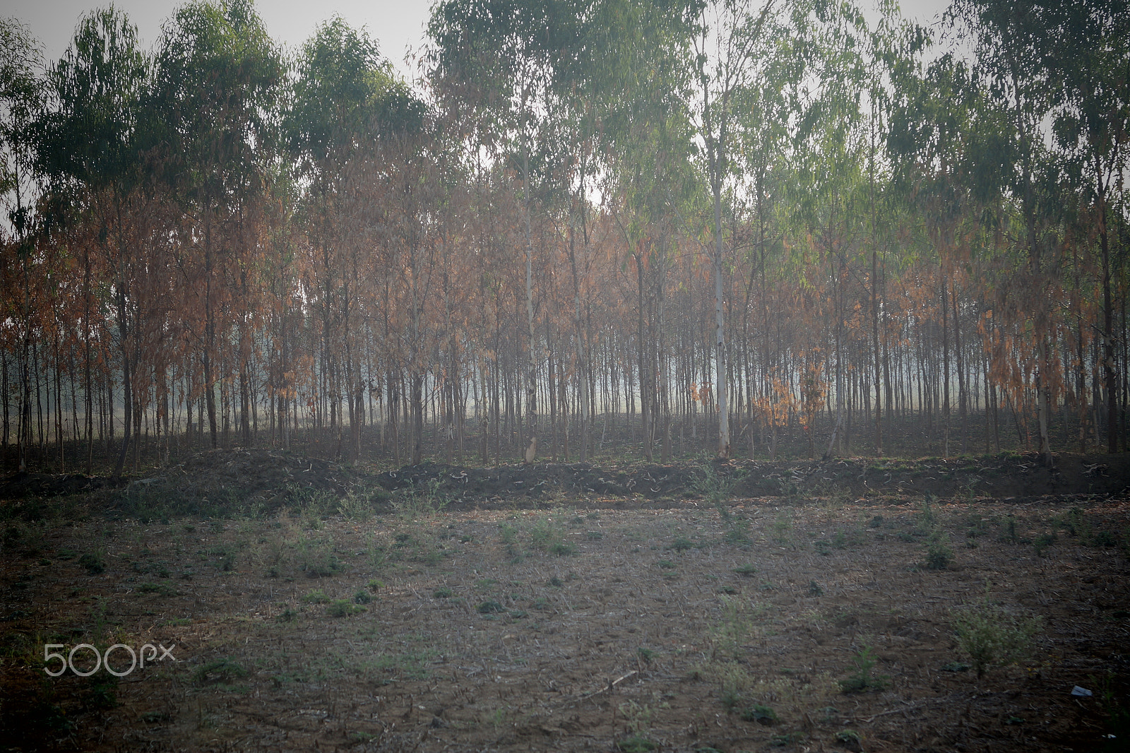 Samsung NX2000 sample photo. Morning ride photography
