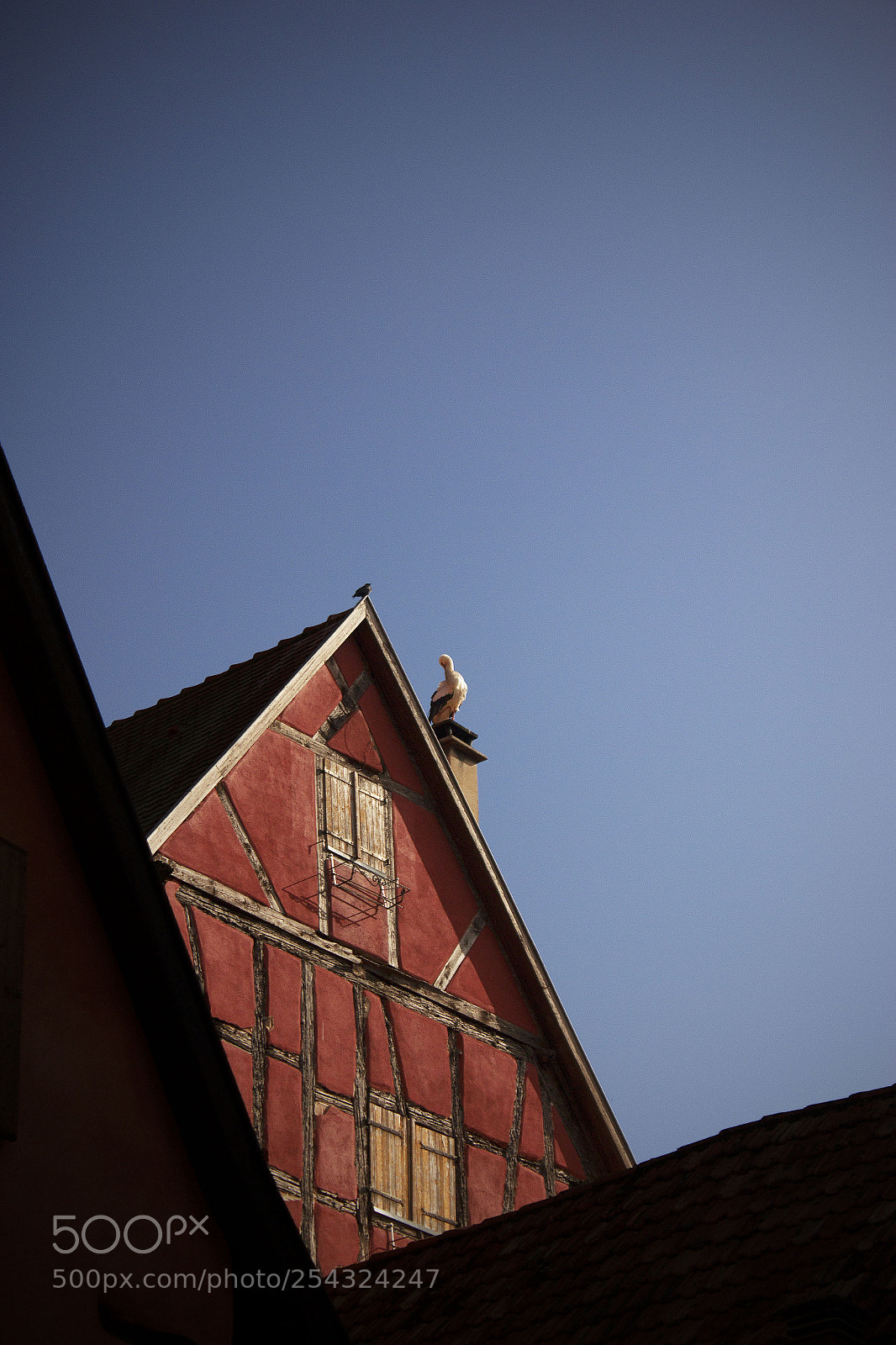 Canon EOS 550D (EOS Rebel T2i / EOS Kiss X4) sample photo. Alsace iii - france photography