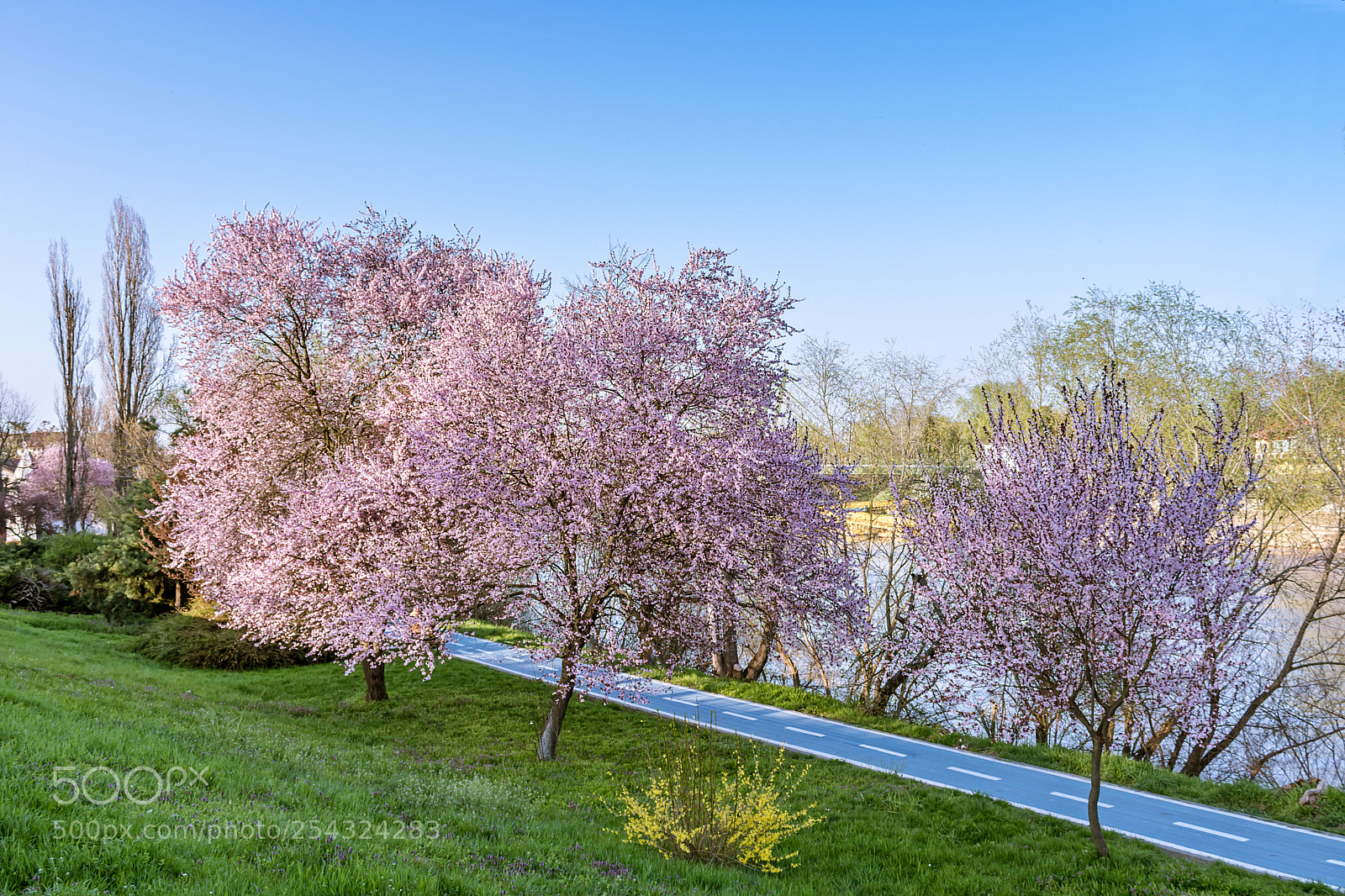 Canon EOS 750D (EOS Rebel T6i / EOS Kiss X8i) sample photo. Colourful spring photography